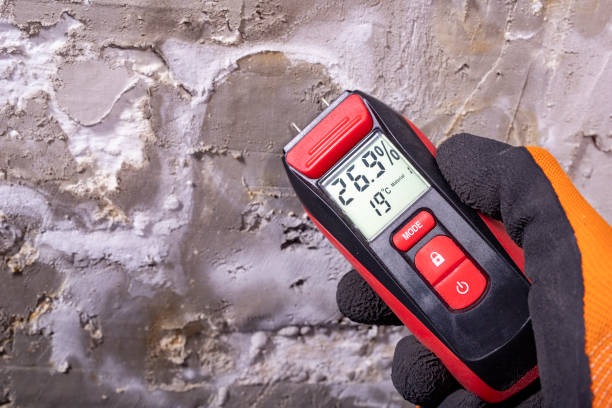 Best Crawl Space Mold Removal  in Clarksville, IN